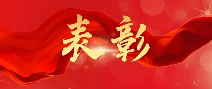 以时光为证，敬同行者：朗盾科技功勋表彰暖心落幕